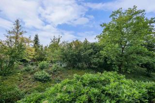 Ferienwohnpark Immenstaad am Bodensee Zwei-Zimmer-Apartment 51 08 - Immenstaad am Bodensee - 3