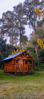 Pinar del Valle - Camping y Glamping en Constanza - Constanza - 0