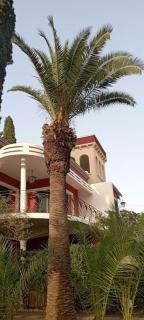 Villa Muia-Appartamento con giardino - 3