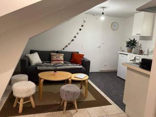 Nantes : T1 bis hyper centre (commerce) très calme - 7