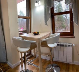 Ski to door at Mountain View 1BR condo Bansko - Bansko - 1