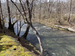 Gray's Place on Cosby Creek - 2 Bedrooms, 2 Baths, Sleeps 6 home - 7