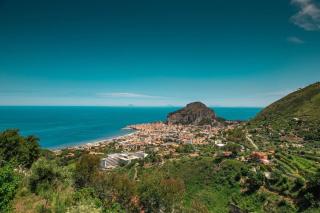 Mimosa - Cefalù - 4