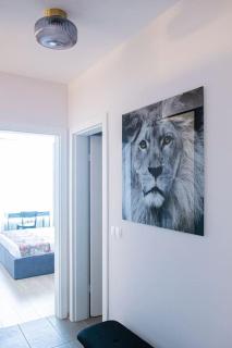 Tokiyo: a lovely city center 2 bedrooms apartment with private parking - Sofia - 1