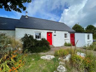The Dairy @ Trefechan Wen - 7