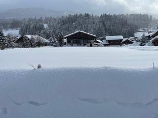Chalet Esquinade 4 bedrooms appartment Megève - 0