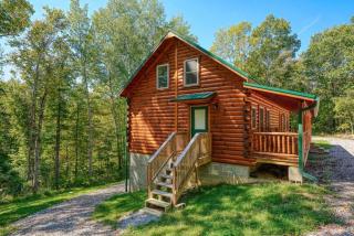Seven Pines Cabin - Secluded in Hocking Hills - Nelsonville - 7