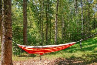 Seven Pines Cabin - Secluded in Hocking Hills - Nelsonville - 4