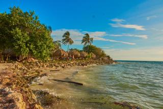 Hotel Isla Mucura - 8