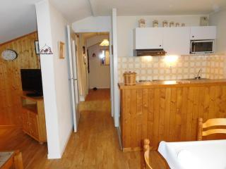 Bel appartement rénové avec vue sur le Mont-Blanc, parking couvert, animaux admis - FR-1-517-51 - Chamonix - 6