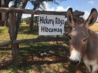 Hickory Ridge Hideaway Cabin - Romantic, Peaceful - Llano - 3