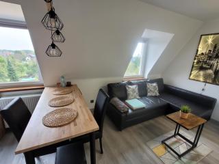 Apartament Pod Radiostacją -Gliwice Tarnogórska, parking free, klimatyzacja - Gliwice - 5
