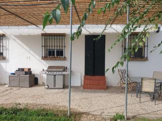 CHALET VILLA MARÍA ANTONIA - Cantillana - 3