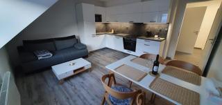Apartmán U nás na Dolní Moravě - Dolní Morava - 7