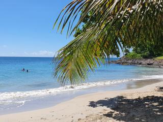 TI OASIS Trinidad, Studio vue Mer à Pierre & Vacances - Sainte-Luce - 5
