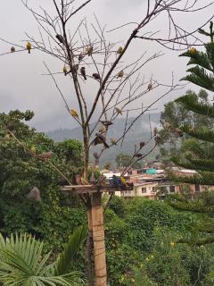 Apartamento portal del prado - 9