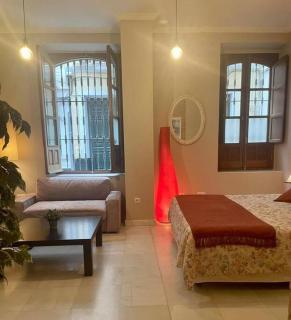 Acogedor loft+parking junto a Catedral - Sevilla - 2