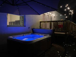 Florida Luxe, Brand new 4 Bed Property with a Private Jacuzzi - Tampa - 6