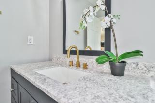 Truly Immaculate Pool Home SFV - Los Angeles - 2