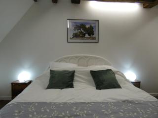 Élégante maison rénovée en campagne, proche de Dreux et Chartres, avec 2 chambres accueillantes. - FR-1-581-103 - 3