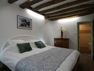 Élégante maison rénovée en campagne, proche de Dreux et Chartres, avec 2 chambres accueillantes. - FR-1-581-103 - 2