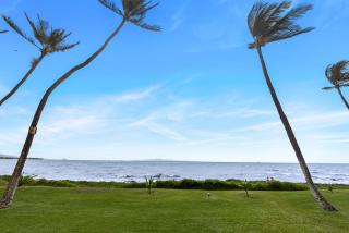 Sugar Beach 124 - MCH - Kihei - 3