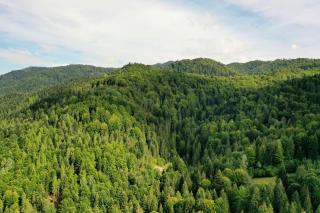 Willa Nad Wodospadem - Szczawnica - 2