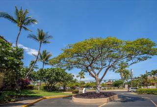 Maui Vista 1317 - MCH - Kihei - 4