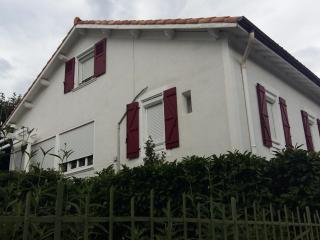 Bel F2 lumineux avec terrasse privée, à 5 min des Thermes et cœur de ville, animaux acceptés - FR-1-451-37 - Lamalou-les-Bains - 0