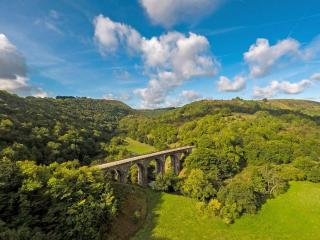 Pats Cottage - Dore - 2