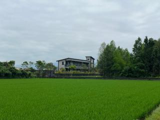 Lakeforest B&B - Yuanshan - 5