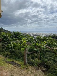 Studio 14 proche GRR2 97400 - 6