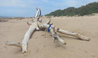 Blue Space Beach house - Port Shepstone - 6