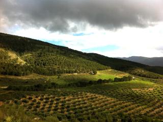 Casa Dehesa San Cristóbal, Jaén - Jaén - 0