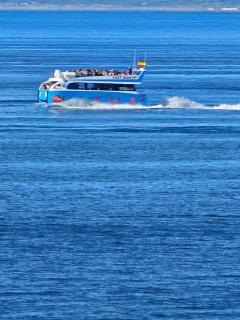 First line Seaport Puerto Rico 9 - Santa Pola - 9
