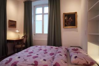 3,5 Z-Wohnung, 2 Schlafzimmer für 4 Personen, 30 Min Zürich -GALILEO - 7