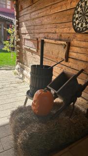 Casa veche “Old house” - Sibiel - 3
