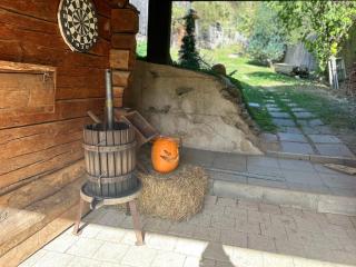 Casa veche “Old house” - Sibiel - 4