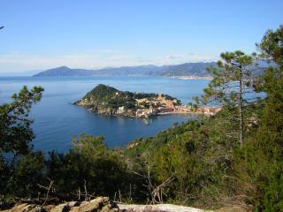 Centrale nel verde int 2 - Sestri Levante - 9