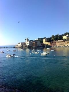 Centrale nel verde int 2 - Sestri Levante - 8