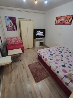 Apartman u centru Prnjavor - Prnjavor - 8