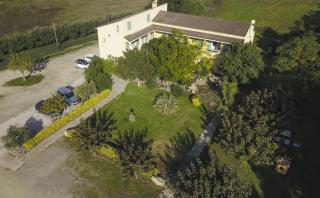Auberge les Oliviers - Lucciana - 2