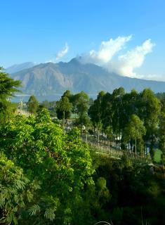 Hillside bali - Kubupenlokan - 1