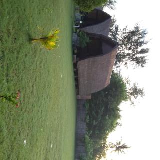 Sasak Island Bungalows - Gili Meno - 9