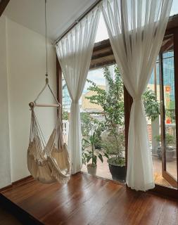 Forest Tag - 6/8 Ha Noi - Huế - 3
