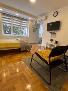 Tesla View Apartment - Belgrado - 1