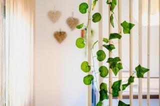 Vikap Guest House - Porto - 3