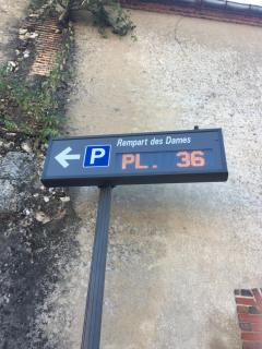 Sancerre Sunflower - Tournesol de Sancerre - 0