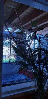 HabuHeritageHomeStayInLuxor - Al Aqālitah - 3