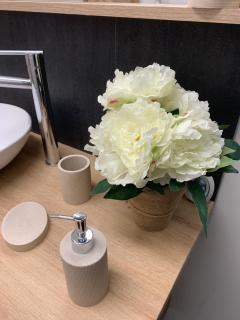 APPARTEMENT TYPE STUDIO SANTENY (20 m2) - Santeny - 1